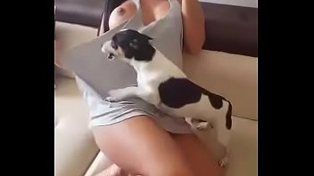 xvideos com animais cachorro querendo comer a sua dona gostosa